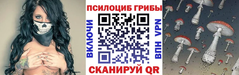 Псилоцибиновые грибы Psilocybine cubensis omg ссылки Дорогобуж